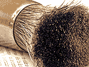 Hog Hair Stag Foot Brush