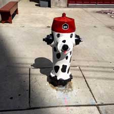 yorkville-fire-plug-sm