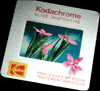 Kodachrome