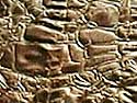 Deterioration of acetate negatives