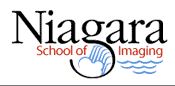 NSI logo